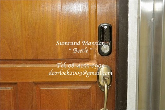 &#3605;&#3633;&#3623;&#3629;&#3618;&#3656;&#3634;&#3591;&#3616;&#3634;&#3614;&#3585;&#3634;&#3619;&#3605;&#3636;&#3604;&#3605;&#3633;&#3657;&#3591; Yale Beetle