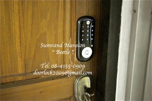 &#3605;&#3633;&#3623;&#3629;&#3618;&#3656;&#3634;&#3591;&#3616;&#3634;&#3614;&#3585;&#3634;&#3619;&#3605;&#3636;&#3604;&#3605;&#3633;&#3657;&#3591; Yale Beetle