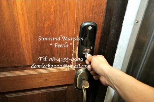 &#3605;&#3633;&#3623;&#3629;&#3618;&#3656;&#3634;&#3591;&#3616;&#3634;&#3614;&#3585;&#3634;&#3619;&#3605;&#3636;&#3604;&#3605;&#3633;&#3657;&#3591; Yale Beetle