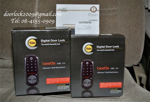 &#3605;&#3633;&#3623;&#3629;&#3618;&#3656;&#3634;&#3591;&#3616;&#3634;&#3614;&#3585;&#3634;&#3619;&#3605;&#3636;&#3604;&#3605;&#3633;&#3657;&#3591; Yale Beetle